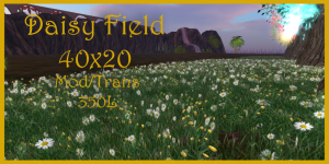Soul Effects 40x20 Field - White DaisiesPIC