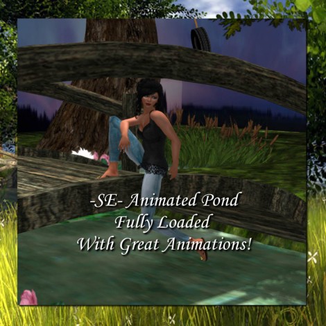 -SE- Animated Pond-4